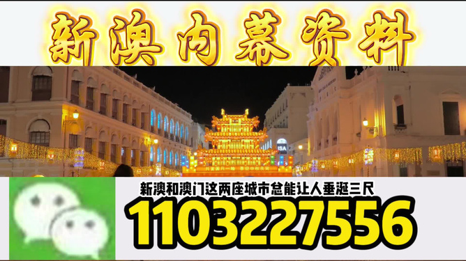 澳門今晚9點35分特馬預(yù)測與探索，澳門今晚9點35分特馬預(yù)測探索之旅