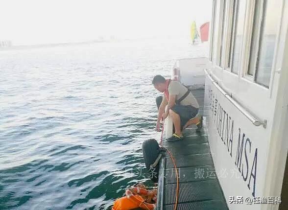兩棲蛙人訓練，深度解析特種部隊的水陸兩棲訓練體系，特種部隊兩棲蛙人訓練深度解析，水陸兩棲訓練體系揭秘
