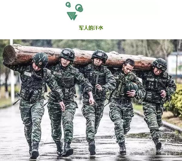 余旭農(nóng)家小院與逝者的永恒記憶 —— 尊重隱私，遠(yuǎn)離遺體照片，余旭農(nóng)家小院，永恒記憶與隱私尊重，遠(yuǎn)離遺體照片