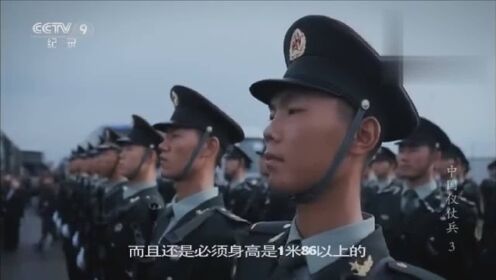 儀仗隊(duì)身高要求詳解，儀仗隊(duì)身高要求全解析