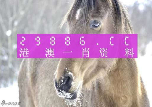 澳門(mén)一肖一碼