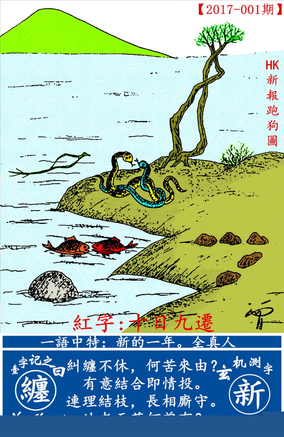 探索最新跑狗圖2025高清圖片，最新動(dòng)態(tài)與獨(dú)特魅力，探索最新跑狗圖2023高清圖片，獨(dú)特魅力與最新動(dòng)態(tài)揭秘