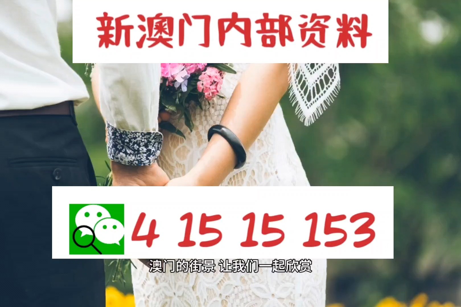 澳門九龍圖庫2025年104期預(yù)測——深度分析與展望，澳門九龍圖庫2025年104期預(yù)測，深度分析與展望未來