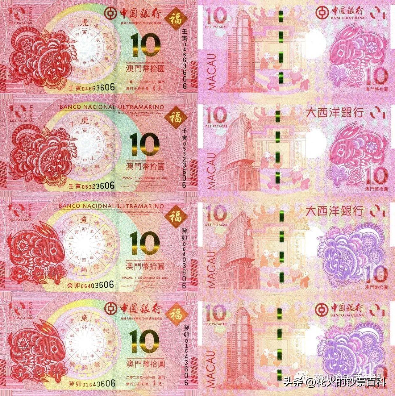 揭秘澳門今晚9點(diǎn)半，展望與預(yù)測至2025年，澳門未來展望與揭秘，今晚9點(diǎn)半至2025年預(yù)測揭秘