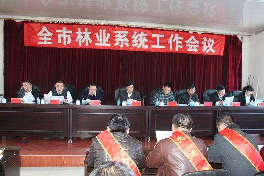 扎蘭屯市林業(yè)局最新新聞，扎蘭屯市林業(yè)局最新動(dòng)態(tài)報(bào)道