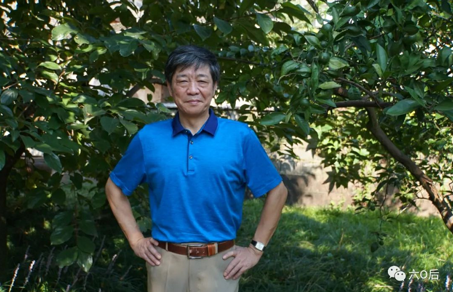 揭秘劉伯溫一肖中肖持背后的故事與智慧，劉伯溫一肖中肖持背后的故事與智慧揭秘