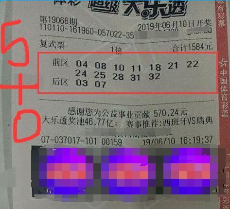 王中王067期指一生肖，揭秘背后的奧秘與策略，揭秘生肖奧秘與策略，王中王生肖預(yù)測揭秘（第067期）