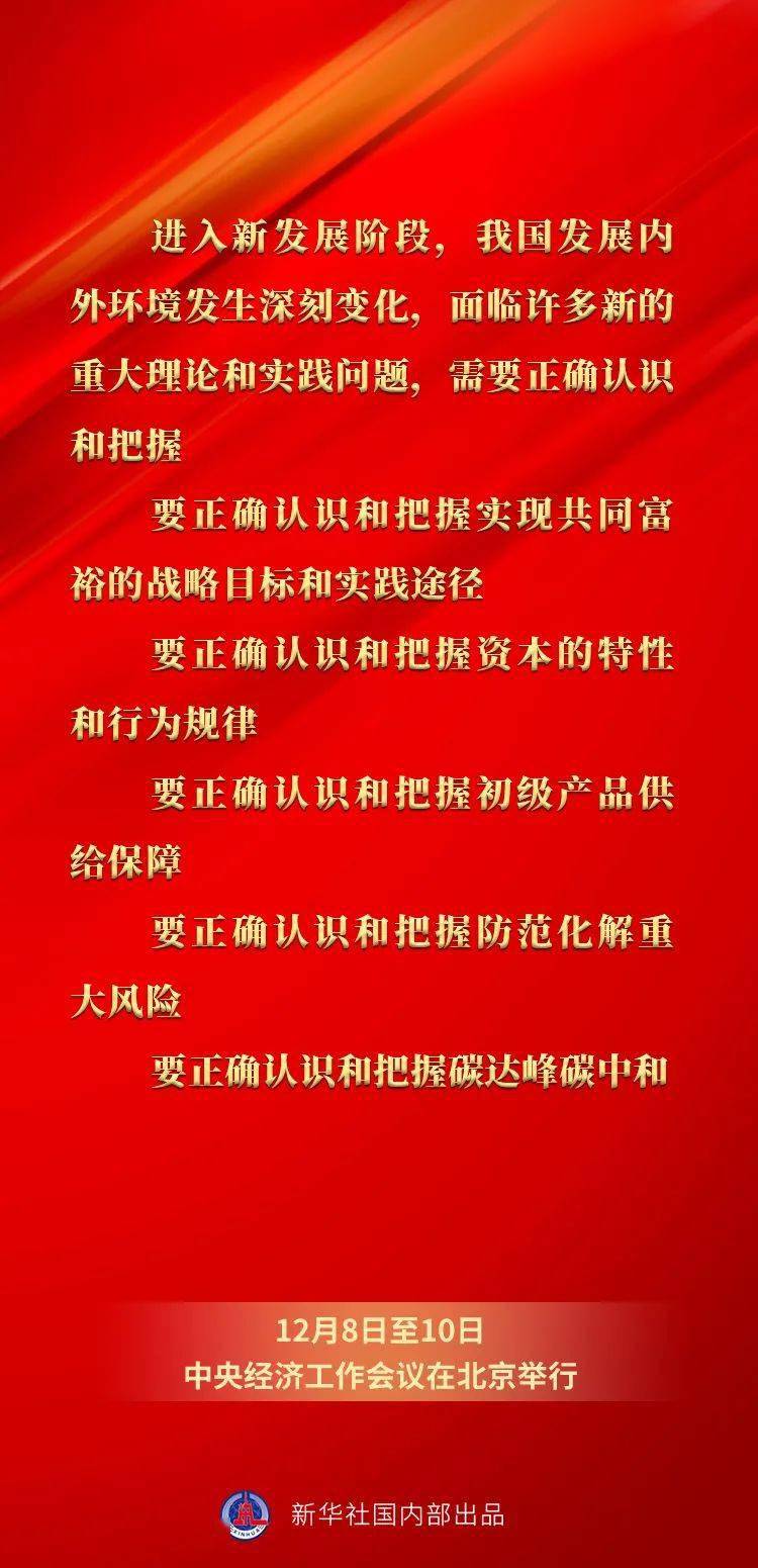 王中王一碼一肖一特一中，深度解析與探索，王中王一碼一肖一特一中，深度剖析與探索之旅