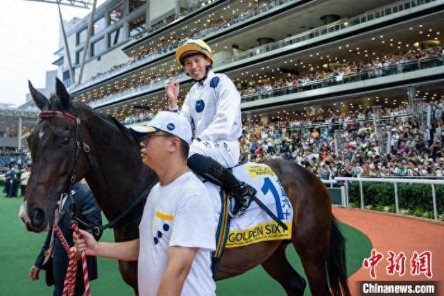 香港特馬王資料免費(fèi)公開，深度解析與探索，香港特馬王資料深度解析與探索，免費(fèi)公開揭秘