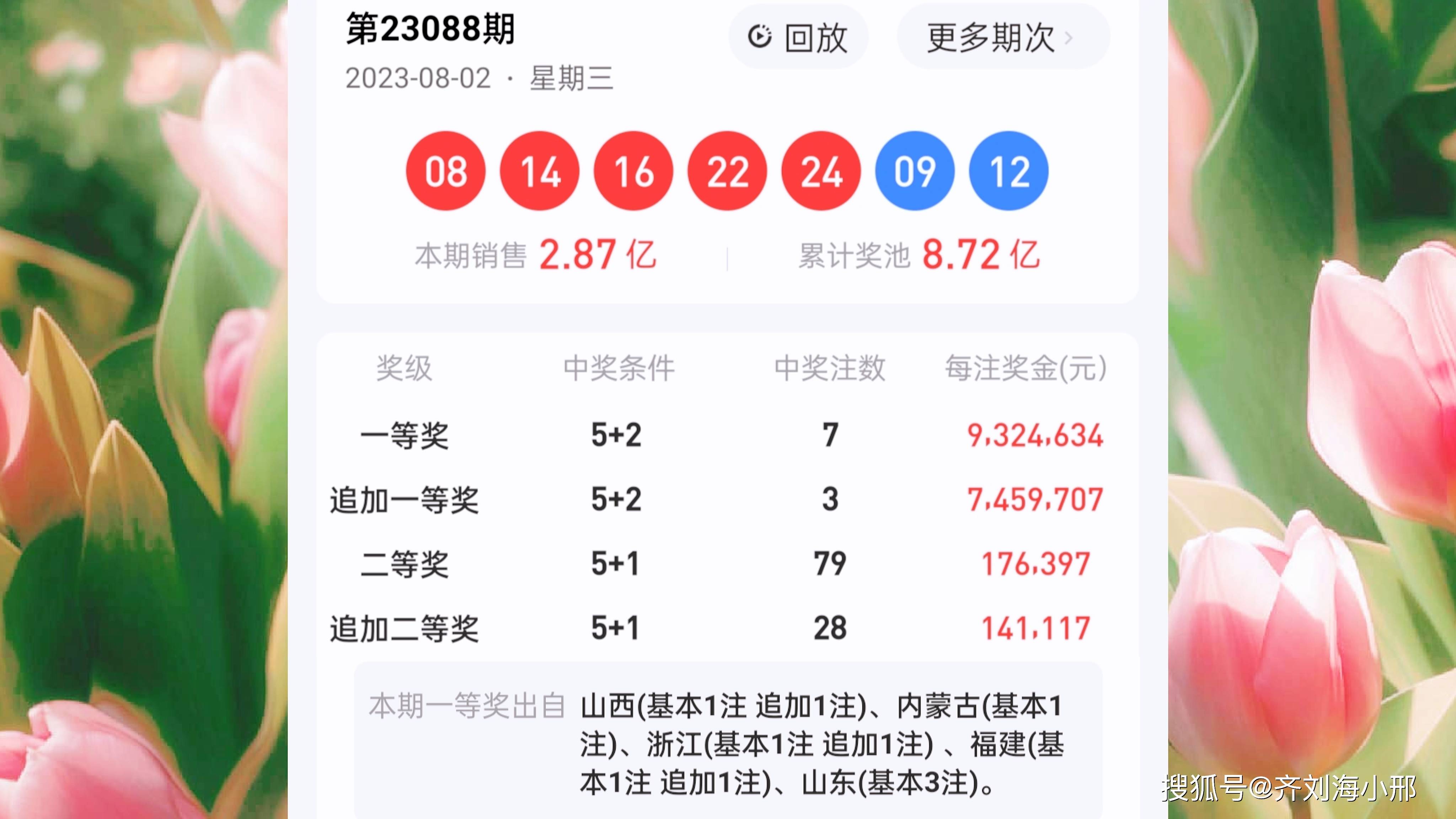 王中王一肖一中今晚開獎(jiǎng)號——深度解析彩票背后的秘密，彩票背后的秘密，王中王一肖今晚開獎(jiǎng)號碼深度解析