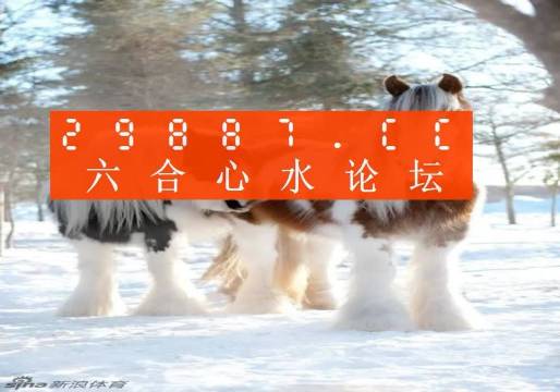 揭秘王中王四不象必中一肖的神秘面紗，揭秘王中王四不象必中生肖的神秘面紗