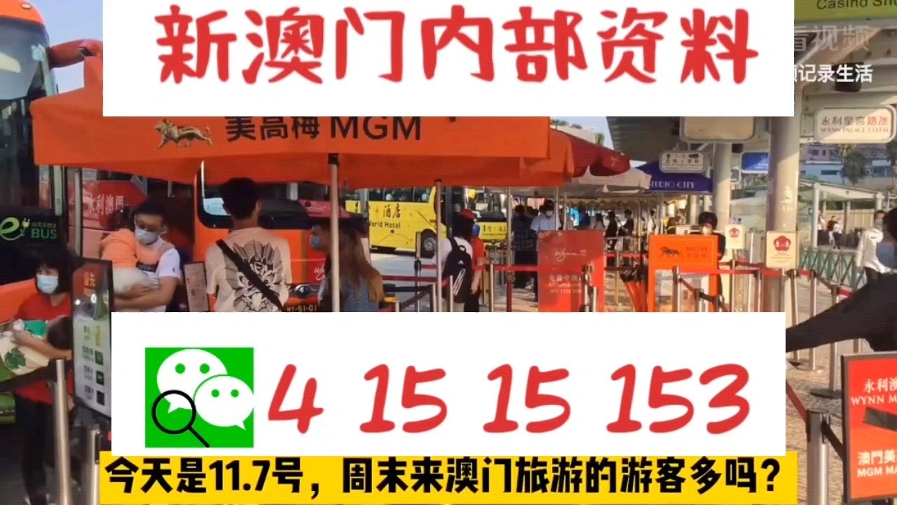 新澳門(mén)內(nèi)部十碼中特，探索與解析，新澳門(mén)內(nèi)部十碼中特，深度探索與解析