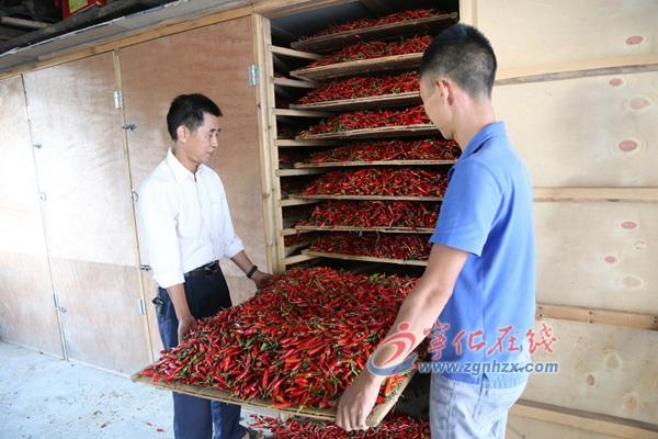 王中王王中王免費(fèi)資料大全一，深度解析與探索，王中王王中王資料大全深度解析與探索一