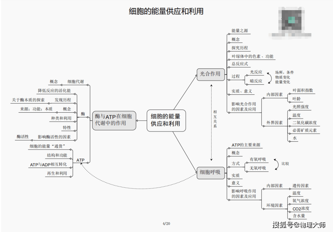 三期必開(kāi)一肖王中王，揭秘生肖運(yùn)勢(shì)與預(yù)測(cè)之謎，揭秘生肖運(yùn)勢(shì)，三期必開(kāi)一肖王中王預(yù)測(cè)之謎