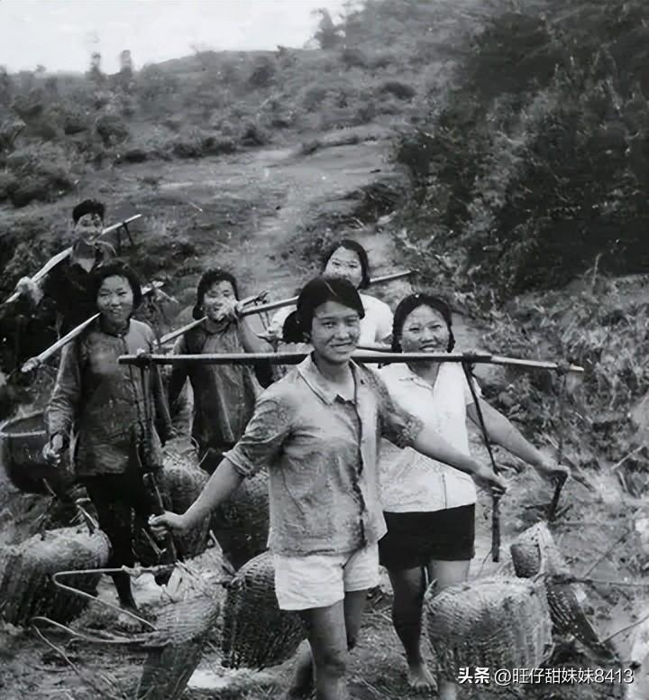 關(guān)于49圖庫(kù)圖片資料網(wǎng)站的SEO文章，49圖庫(kù)圖片資料網(wǎng)站的SEO優(yōu)化策略解析