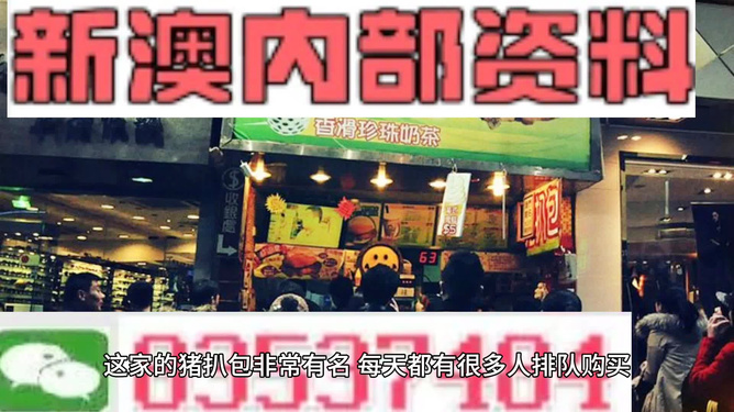 2025新澳精準(zhǔn)資料大全——全面解析與深度洞察，全面解析與深度洞察，2025新澳精準(zhǔn)資料大全
