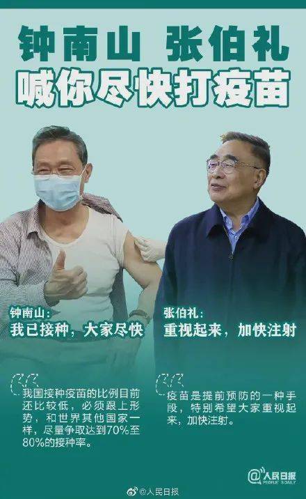 澳門一碼一肖一待一中四不像，探索與解析，澳門一碼一肖一待一中四不像，深度解析與探索