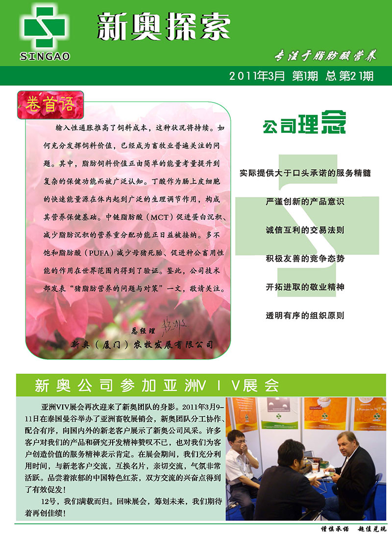 2025新澳正版資料精準解析，2025新澳正版資料精準解析手冊