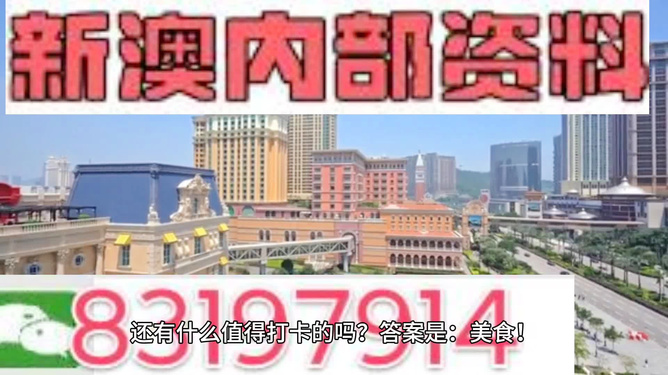 澳門正版資料全年免費公開精準(zhǔn)，探索與解析，澳門正版資料全年免費公開精準(zhǔn)，深度探索與解析