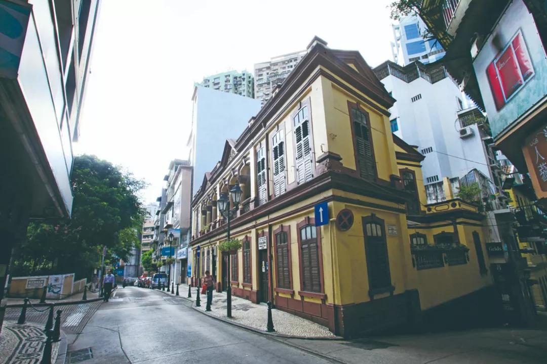 澳門三期必開一肖，揭秘生肖彩票背后的秘密，揭秘澳門生肖彩票三期必開一肖的秘密