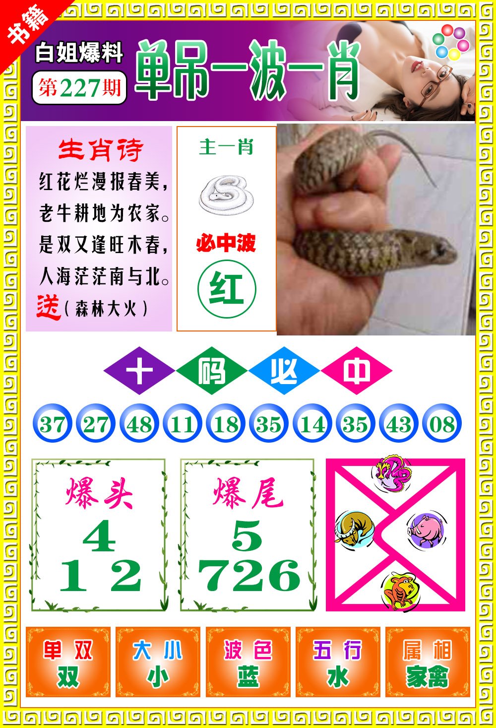 王中王開獎最準一肖——揭秘彩票背后的秘密，揭秘彩票最準預(yù)測，王中王開獎一肖的秘密