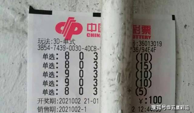 揭秘王中王平特一肖，探尋背后的故事與奧秘（第002期），揭秘王中王平特一肖背后的故事與奧秘（第2期）
