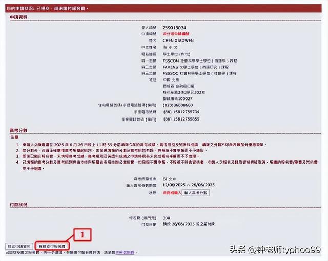 澳門資料大全正版資料查詢2025年，全面解析與深度探索，澳門資料大全正版資料解析與深度探索，展望2025年